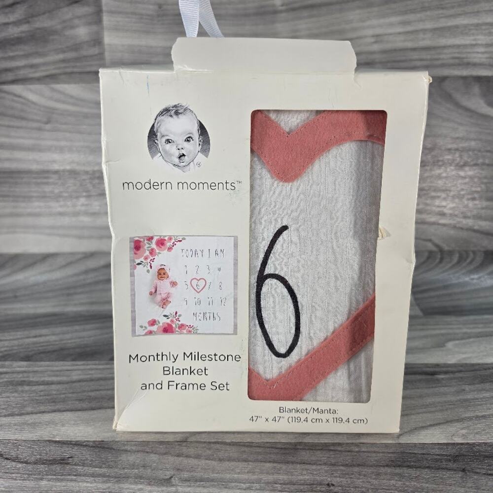 Modern Moments by Gerber Baby Monthly Milestone Blanket Frame Set Pink Floral